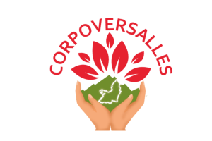 logo22