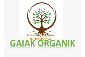 logo6
