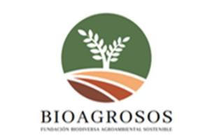 logo8
